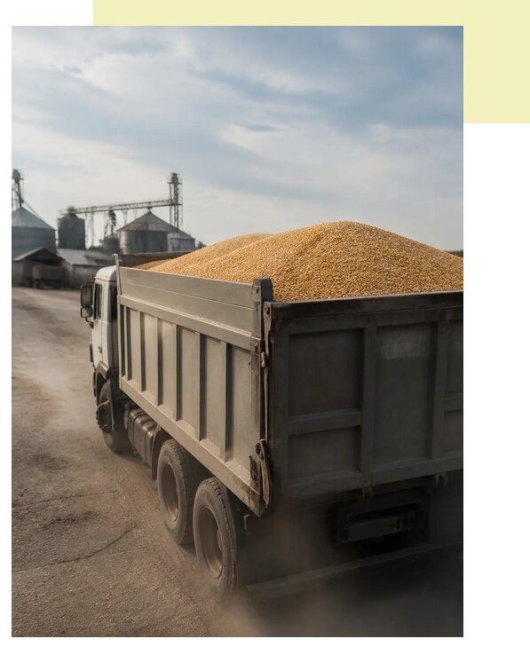 Перевозка сельхозпродукции навалом в Сорочинск по цене от 3098 р. | Агросервис-Срч
